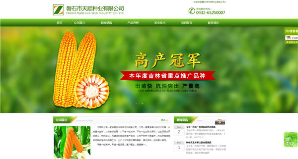 如何在网站建设中借鉴别人策划的几个方法